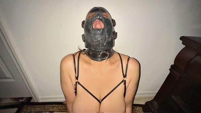 Click to view full size Gimp slut cum whore
