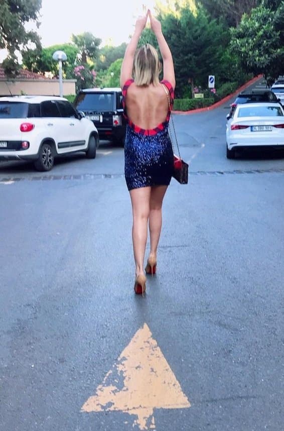 Turkish celebrity milf sibel arna