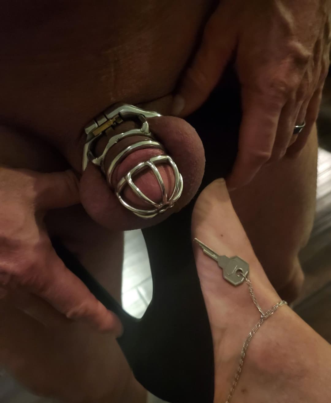 Cock Cage Collection