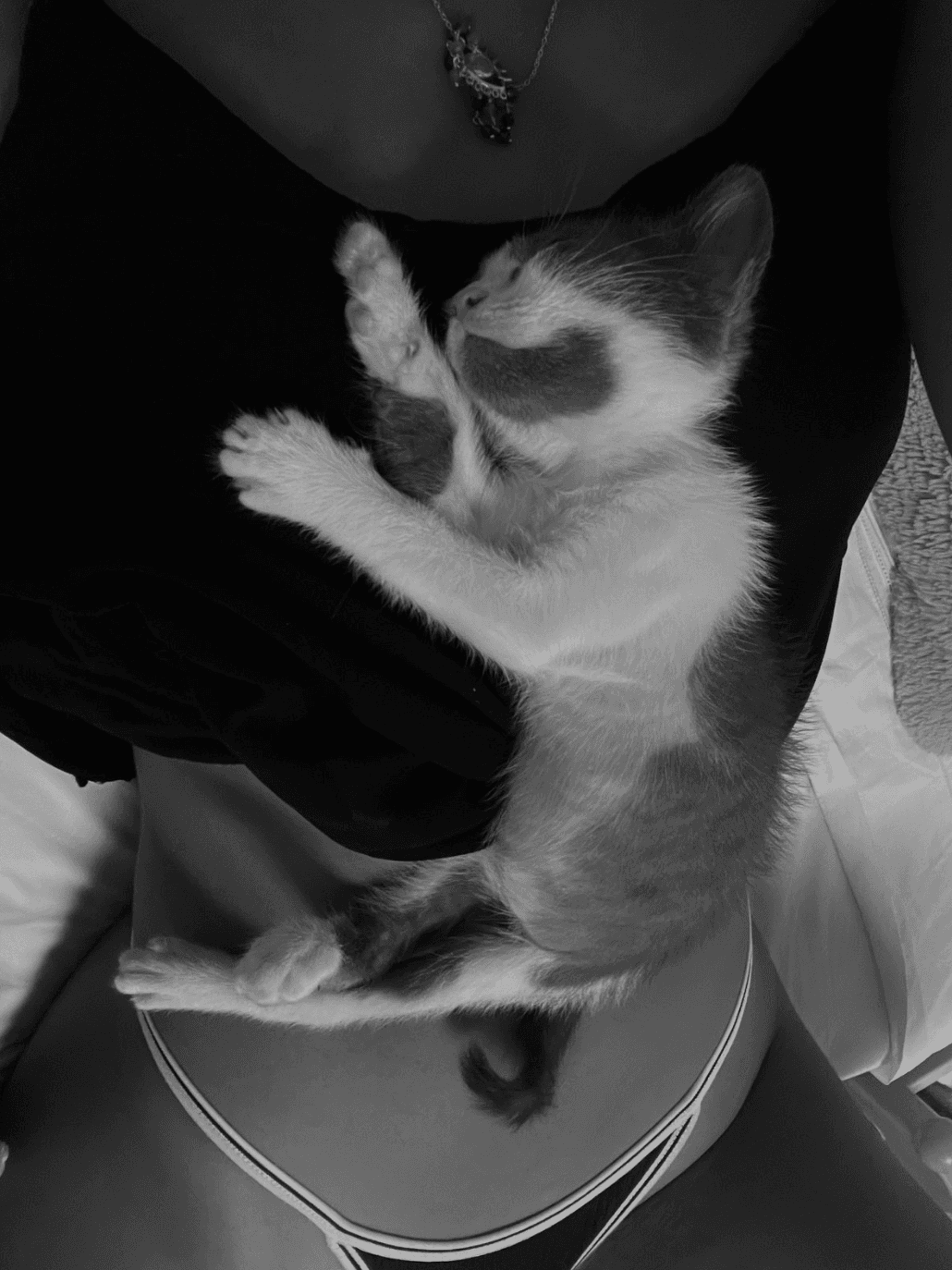 May Roma peitinho durinho adora mascar chiclete Delicia