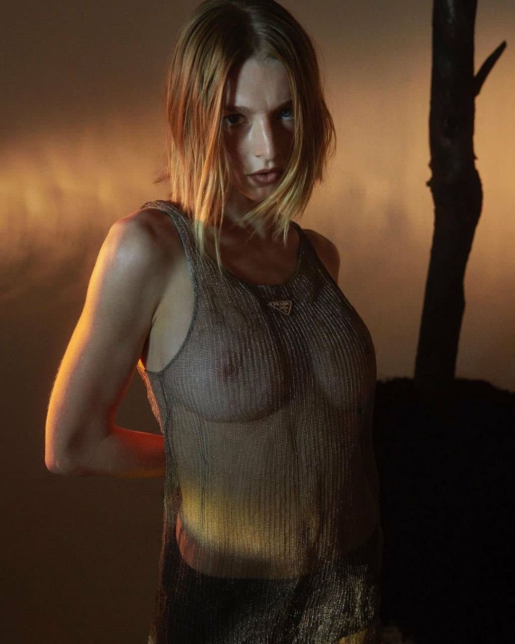 Click to view full size Hunter