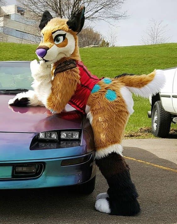 [FURRY] ?? infamous shiba/deer murrsuiter sex tapes (fřëÿäśħîbê)