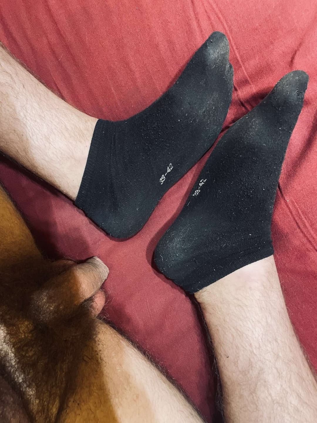 Exposing a 25yo slut from Poland. This Fag likes to have smelly and dirty socks XD
