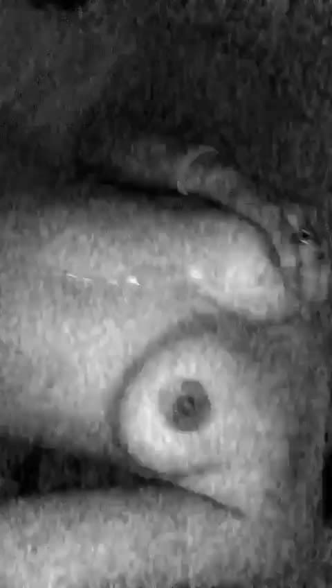 Iaru Narvaez chupando pija