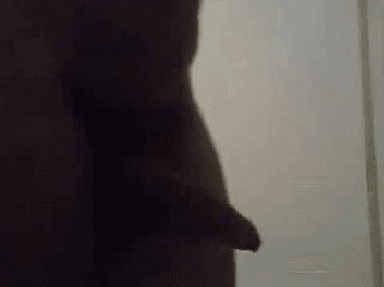 Cocks of Chatroulette 5