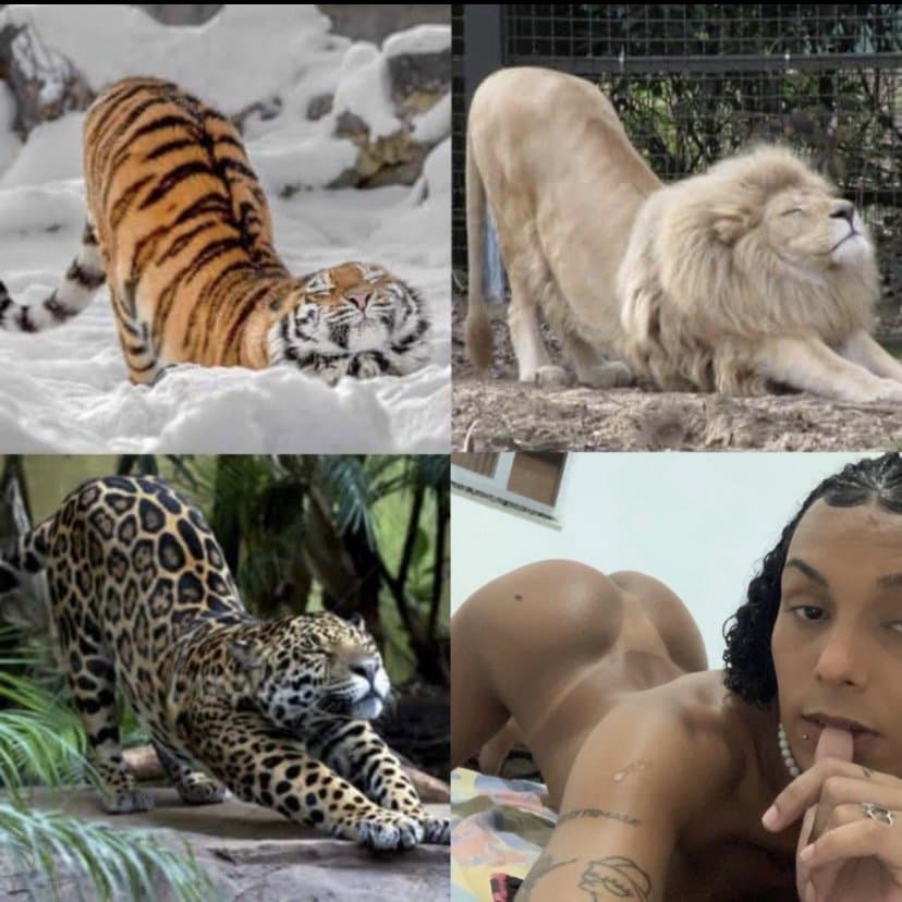 Damn TS Joy Carioca couldn’t be around me ?? I’ll turn into Uncle Fleece !!