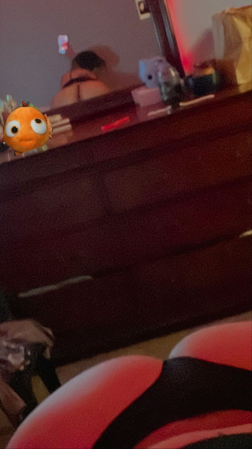 Gordibuena regia tetona