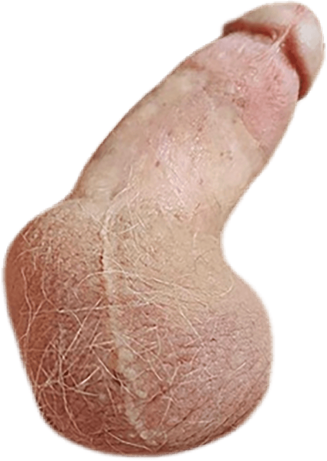 itwasfungay HOMOSEXUAL