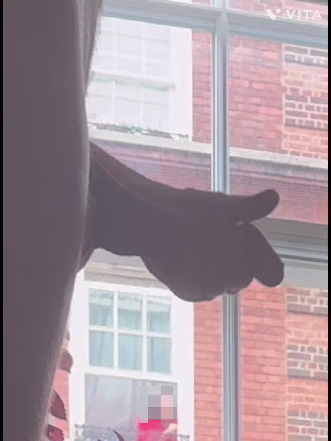 Dick flashing and jerking off for neighbor milf