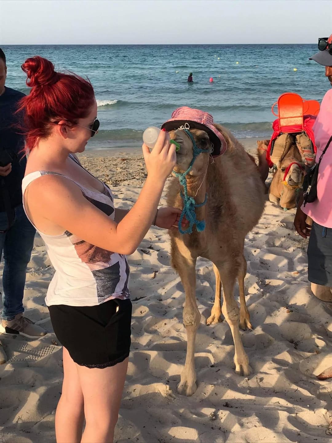 Chienne française pute à black
