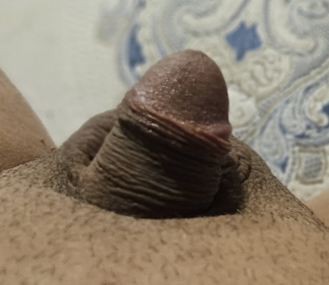 I love rubbing my little dick