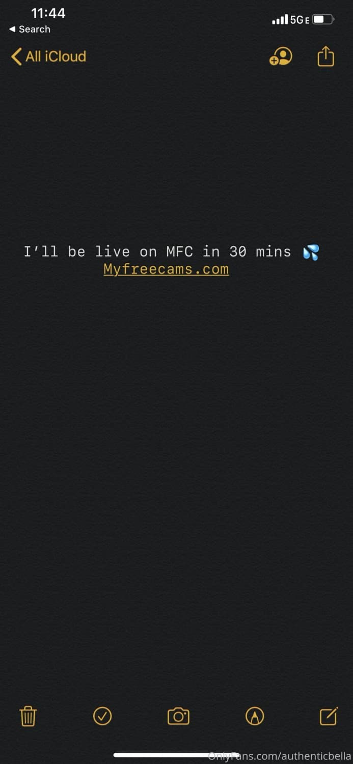 Click to view full size Authentic Bella