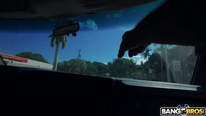 
serve the dick like it's sushi