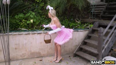 
easter bunny cannot stay away from her hubby's carrot