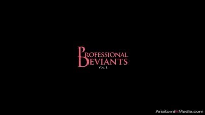 
the true office magic