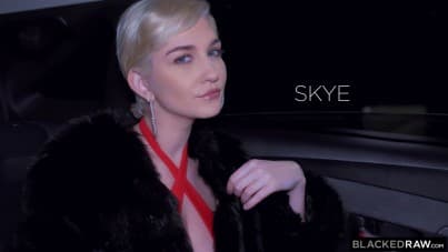 
this night will be a long night