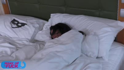 
Amyna Black, wake up and fuck