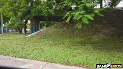 
pervy blindfold guessing game