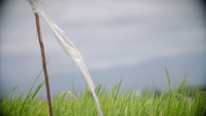 
erotic massage for our girlfriend