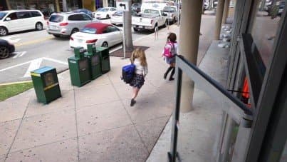 
shoplyfter, case about skinny brunette