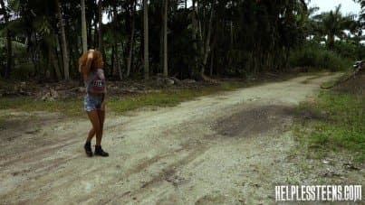 
dangerous van driver