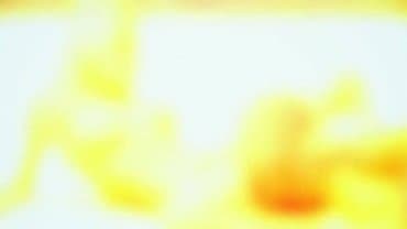 
Jesse Jane - Island Fever