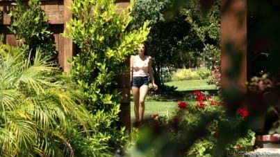 
sisters' tricky plan