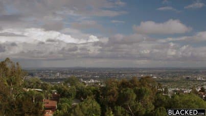 
an unusual relationship