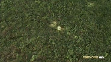 
Penthouse - Phoenix Marie - Any Way You Want It