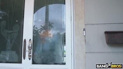 
the crazy stepfamily