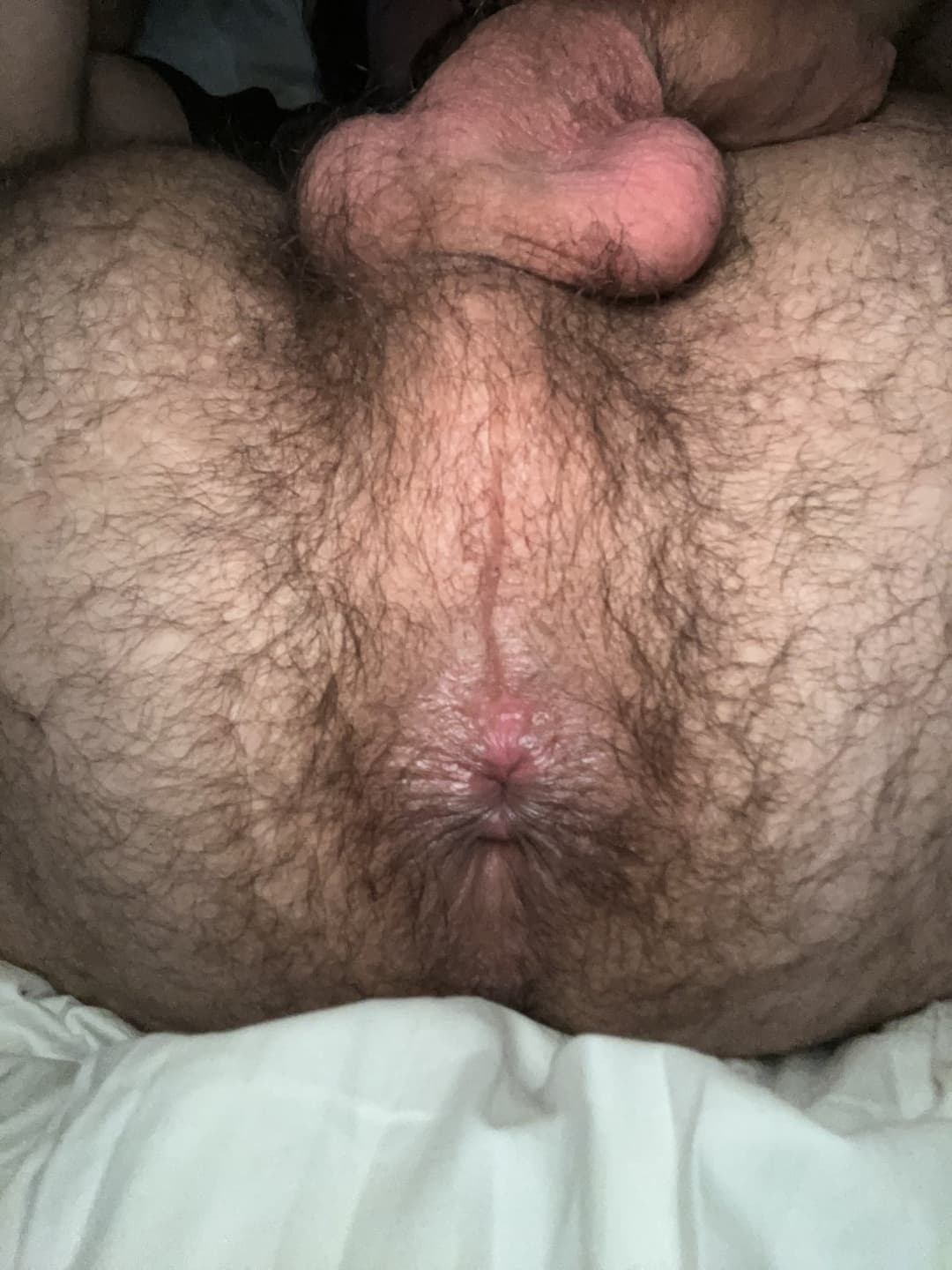 Click to view full size Gay hairy bear hole