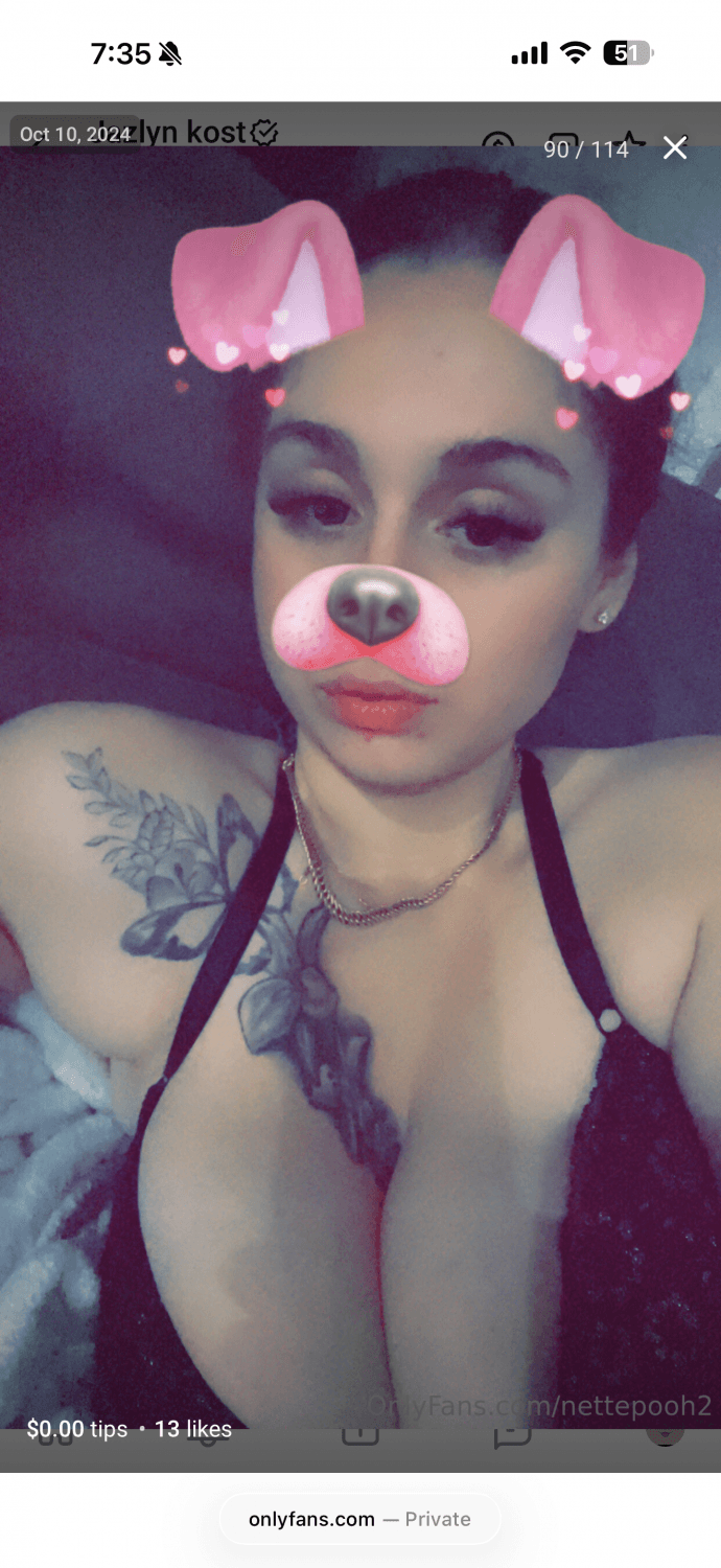 Click to view full size Of leak