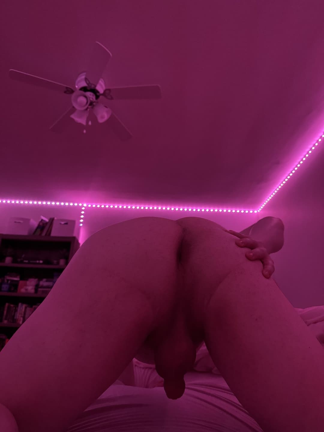 Click to view full size Sissy Matt (Maddie) M. from Halifax