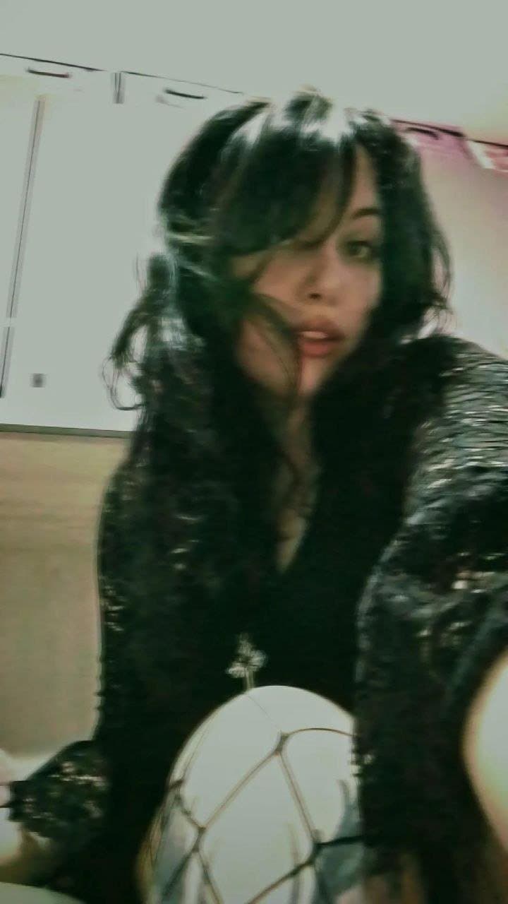 Click to view full size Gaia troia Bolognese