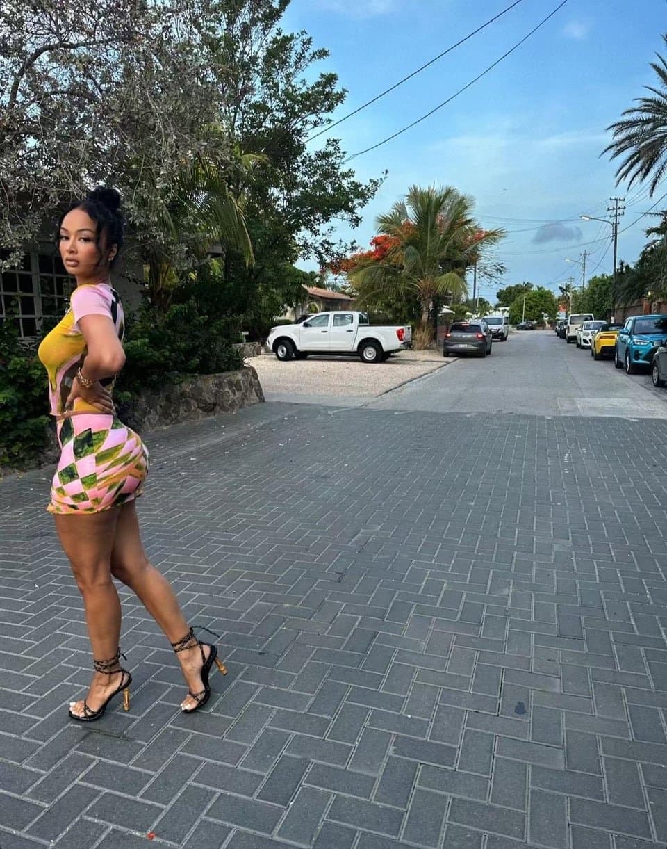 Click to view full size Draya Michele