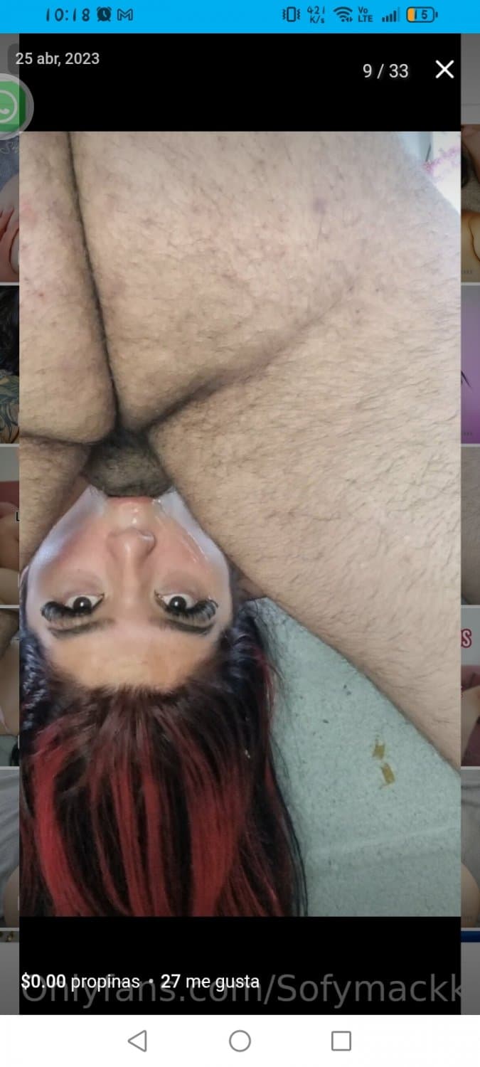 Click to view full size Perra gordi buena