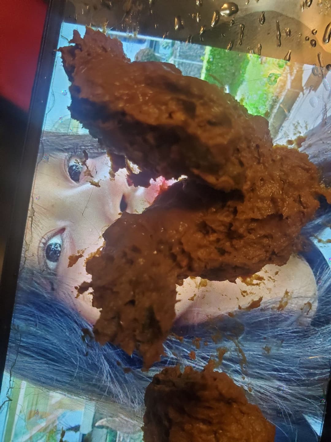 Click to view full size Jia!