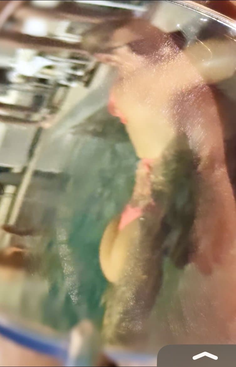 Click to view full size TikTok milf Robyn fields