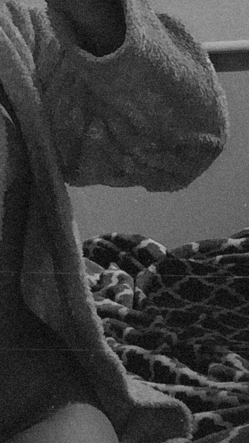 Click to view full size Lindas19??