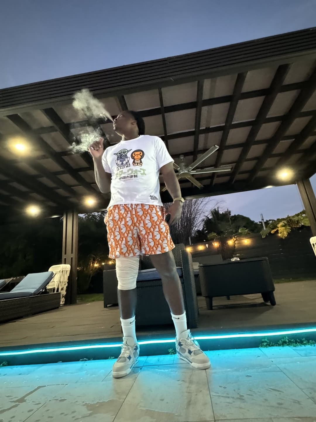 Click to view full size LOUIE AKA DA REAL HAITIAN BREEDING BULL