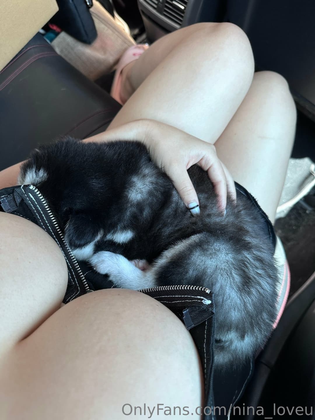 Click to view full size NINALEEE