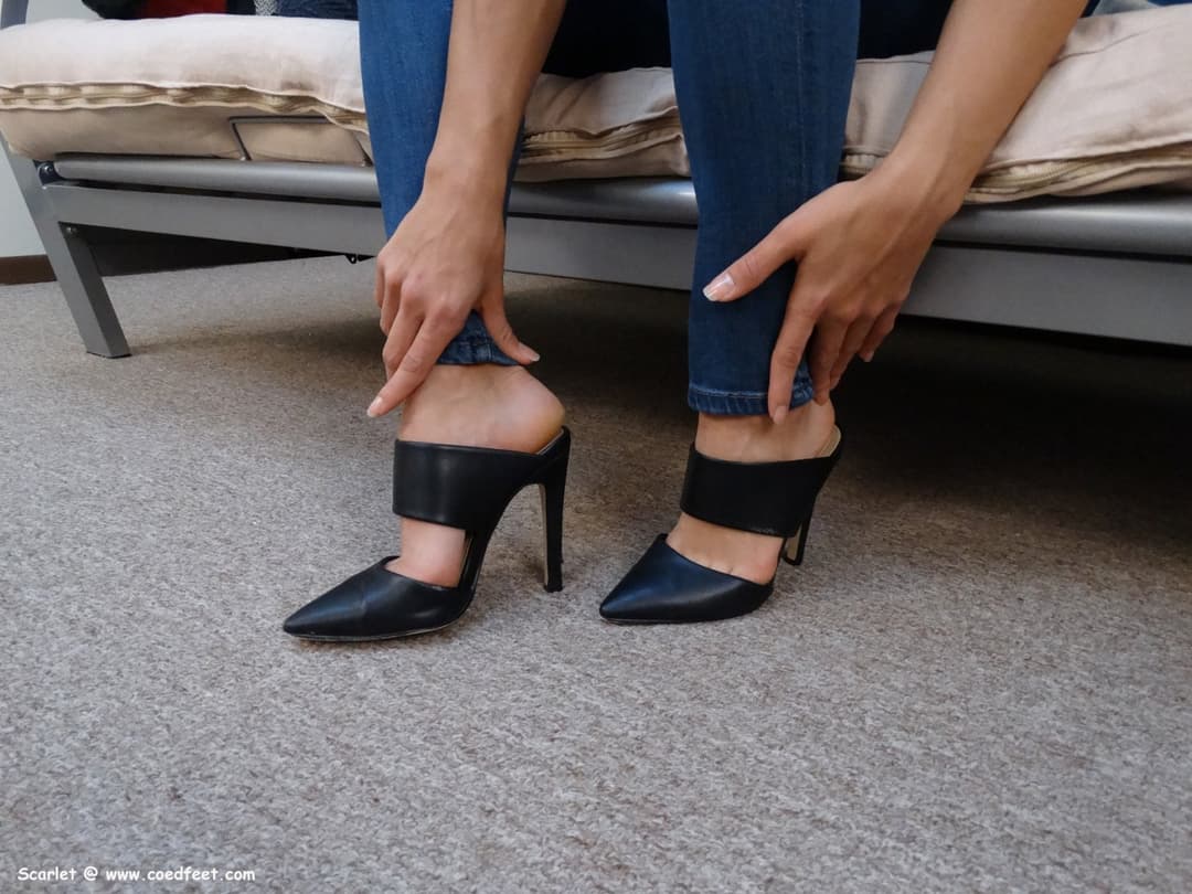 Click to view full size Scarlet