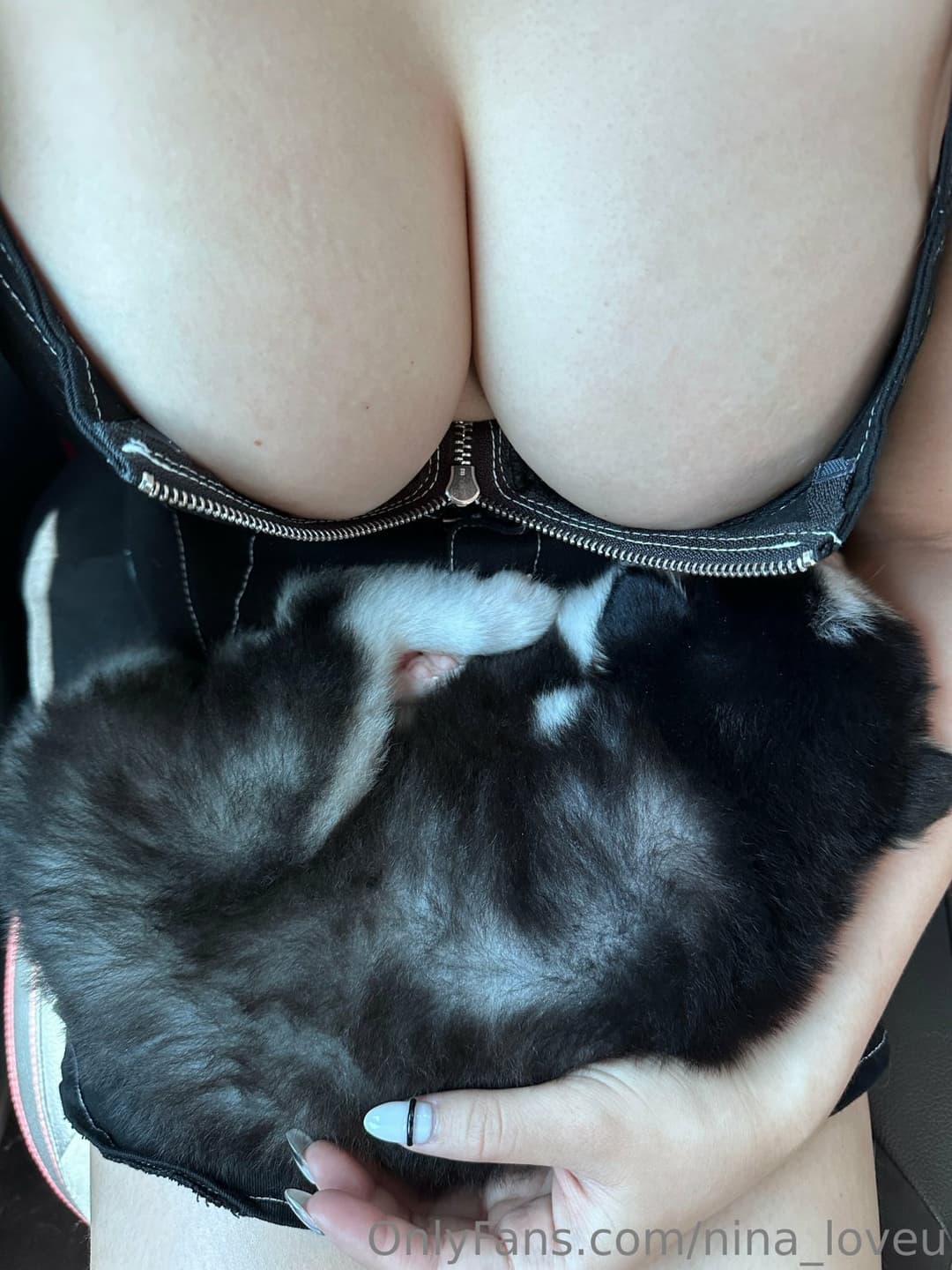 Click to view full size NINALEEE