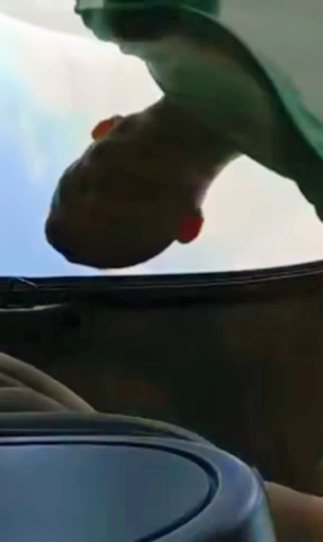 Click to view full size Angry Mesa Homeless Guy Bought My Panties in my car He Yelled @ me while fucking Me Laughing at ME