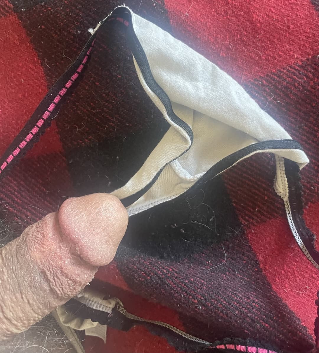 Click to view full size IRL Taboo Panties Family