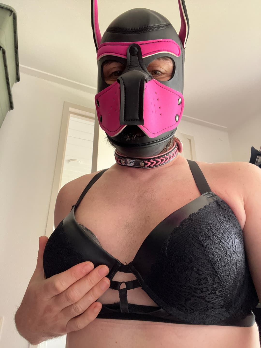 Click to view full size Pain fag for hard use contact me i will put you in touch with the sissy