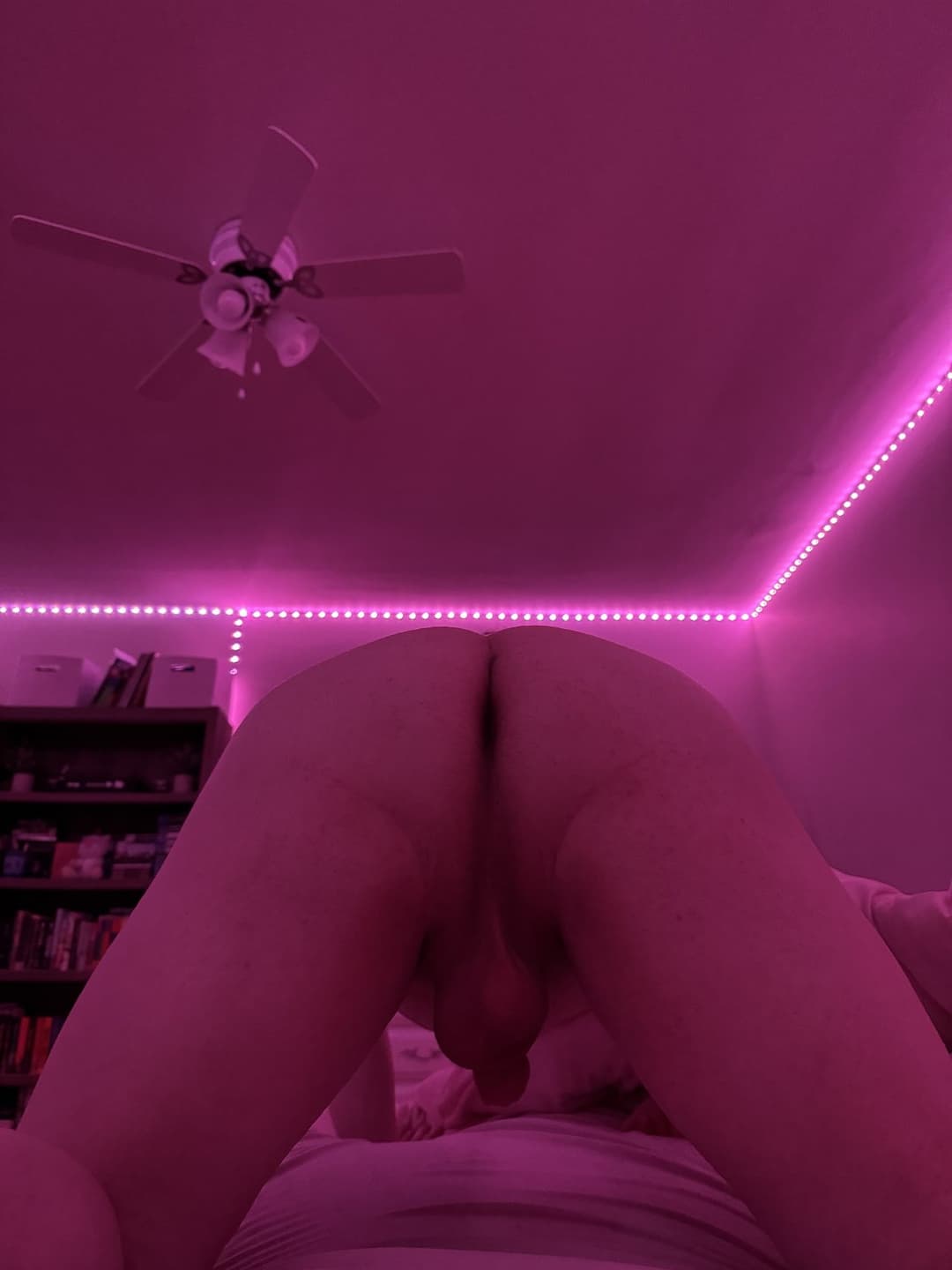 Click to view full size Sissy Matt (Maddie) M. from Halifax