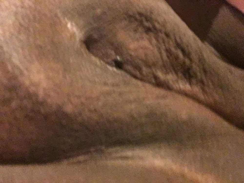 Click to view full size Clapping Them Cheeks