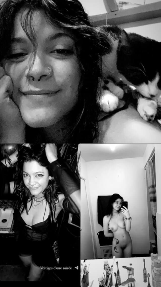 Click to view full size Salope de Lyon