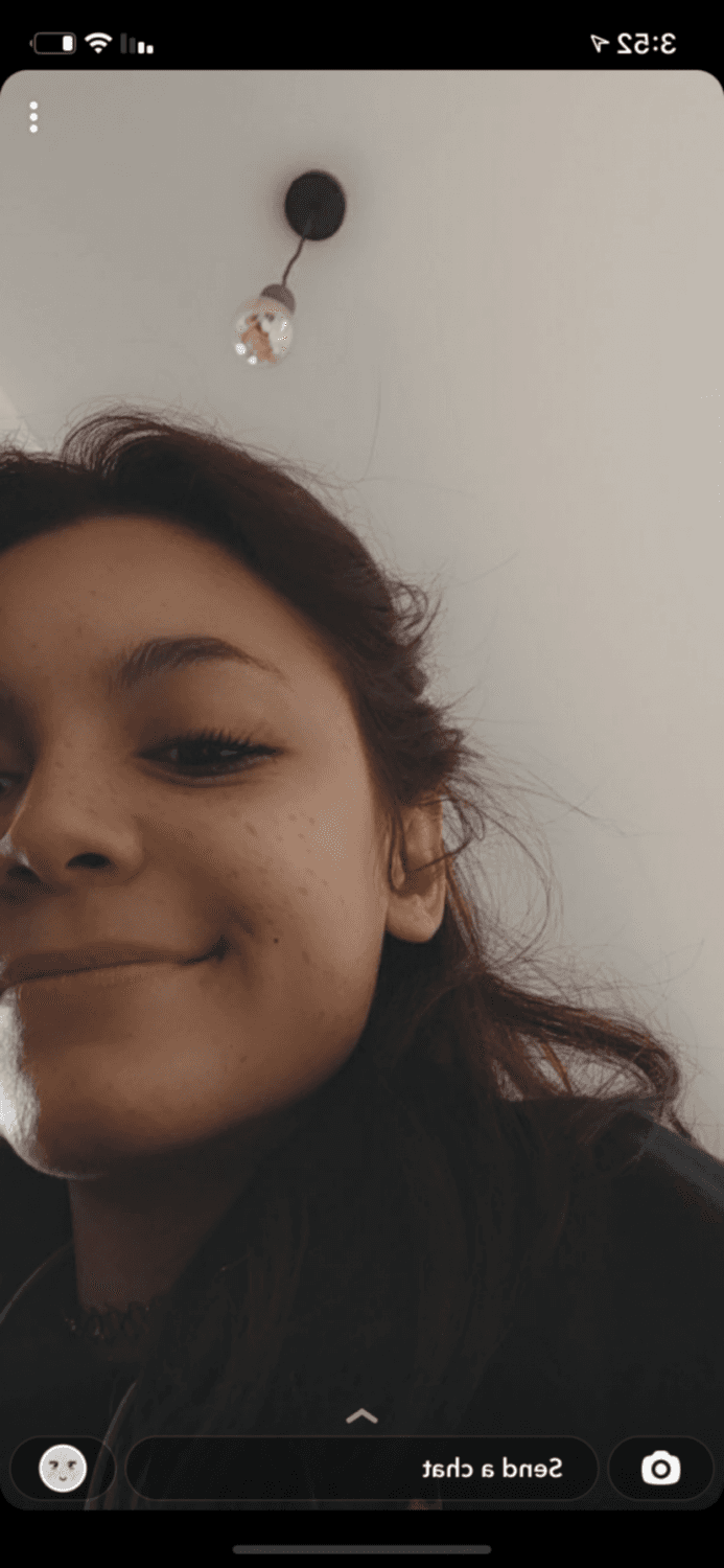 Click to view full size Salope de Lyon